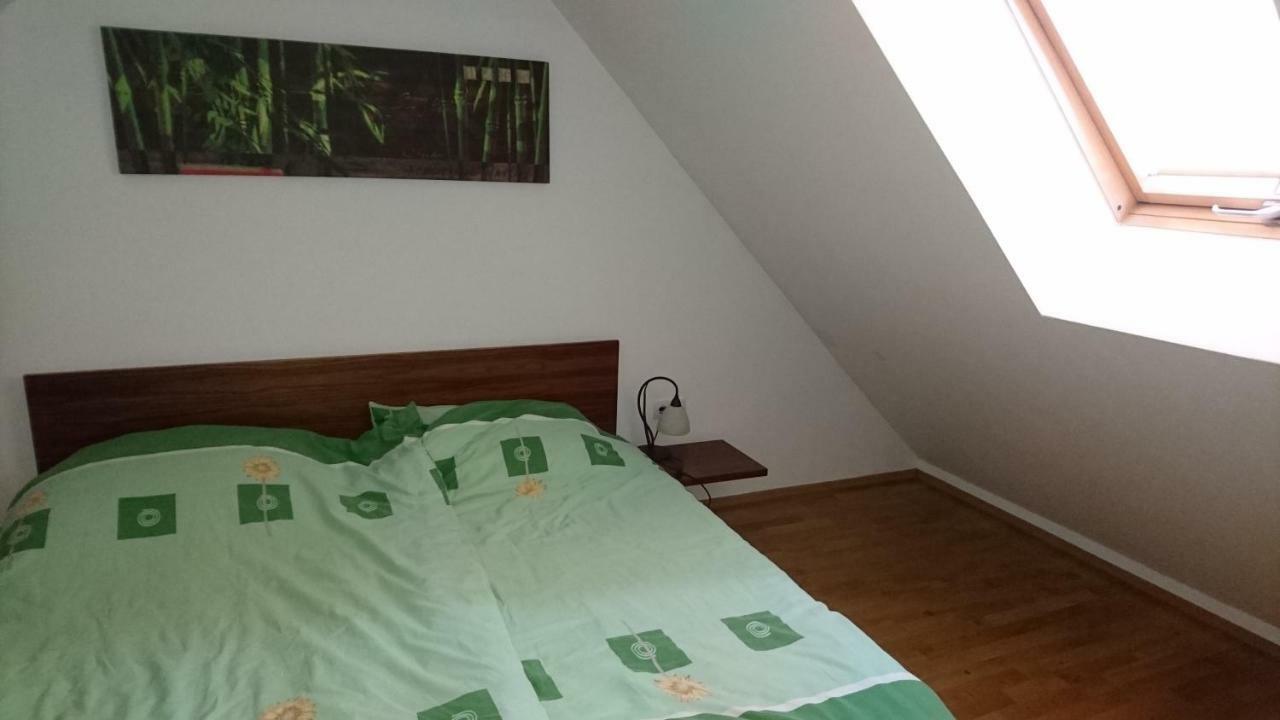 הוילה Krško Apartma Geoteh Terme Catez 6032 מראה חיצוני תמונה